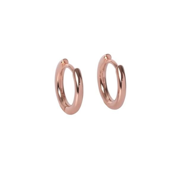 classy-hoops-small-rose-gold-and-silver-f3b267f2.jpg Classy Small Hoops - Rose Gold and Silver
