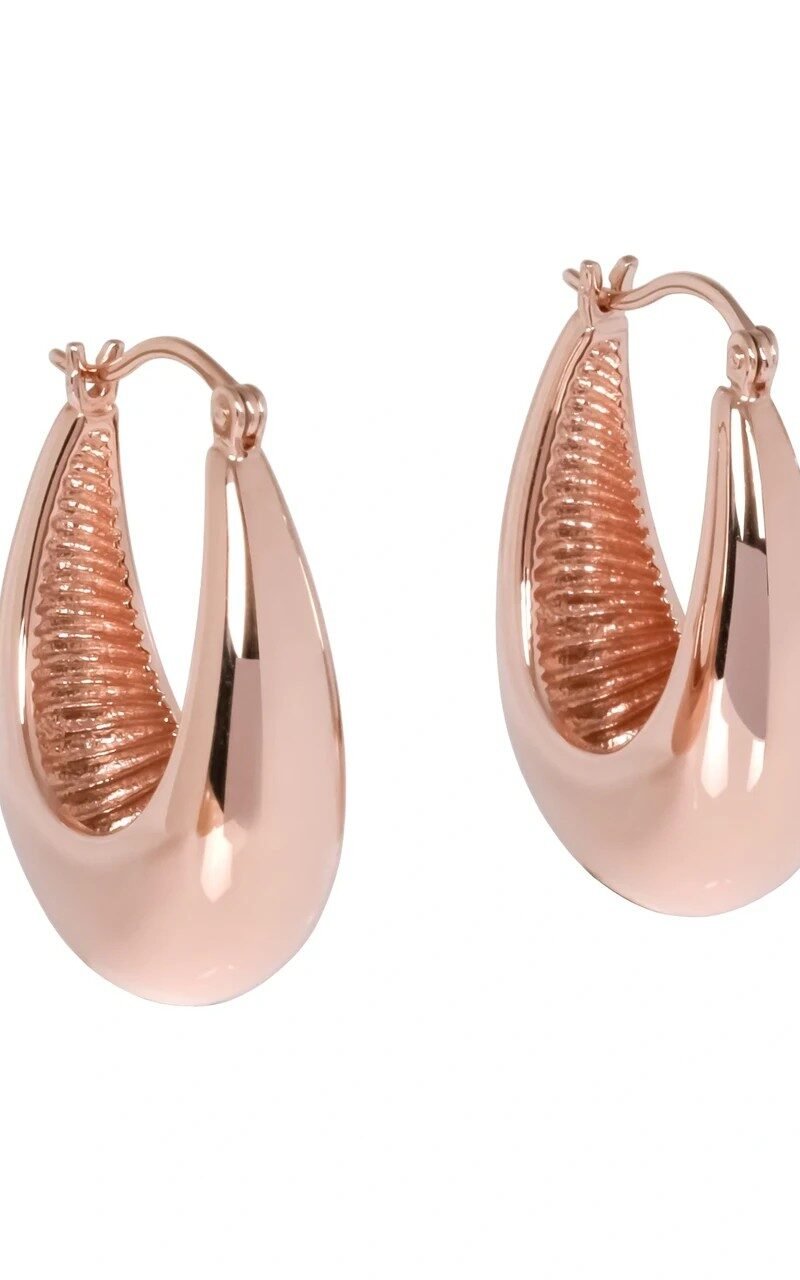 Penelope Hoops  Earrings