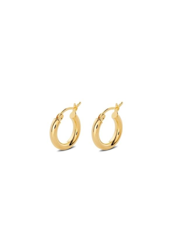 ella-hoops-earrings-gold-30f36262.jpg Ella Hoops Earrings - Gold